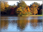 foto Parco Karlsaue in Autunno